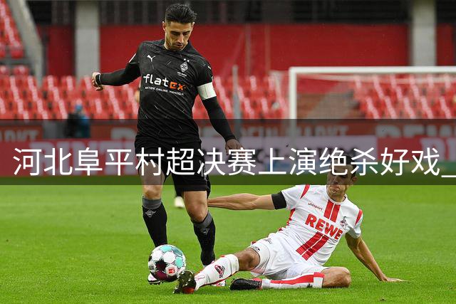 河北阜平村超决赛上演绝杀好戏 骆驼湾队勇夺保定足球超级联赛冠军